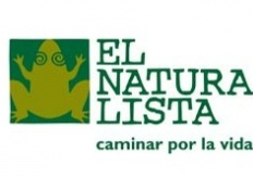 El Naturalista鞋