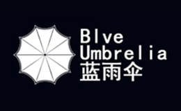 藍雨傘