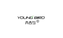 青春鳥youngbird