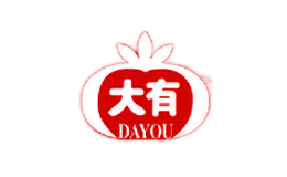 DAYOU大有