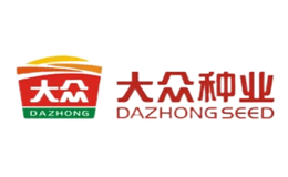 大眾DAZHONG