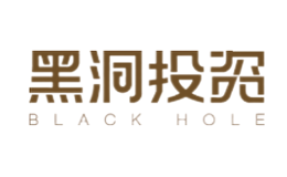 黑洞投資BlackHole